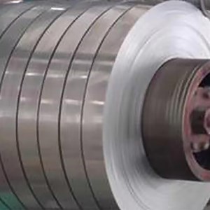 [Hot Item] Strip Galvanized Steel Strip Stainless Steel Strips