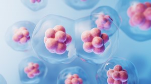 Mitosis of cells with biotechnology concept, 3d rendering.