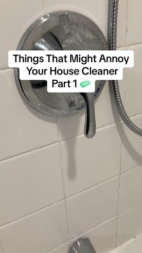 Cleaning Tips: Things That Might Annoy Your House Cleaner