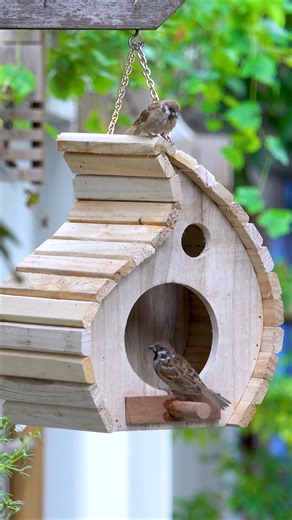 Quick build, beautiful design — perfect for backyard birds! #DIYCrafts #WoodDIY #BirdFeederDesign #HandmadeWoodwork | Woodworking Tools