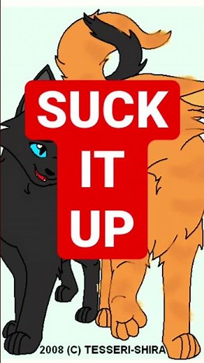 Least Favorite Warrior Cat Mates🖤 #warriorcats #mates