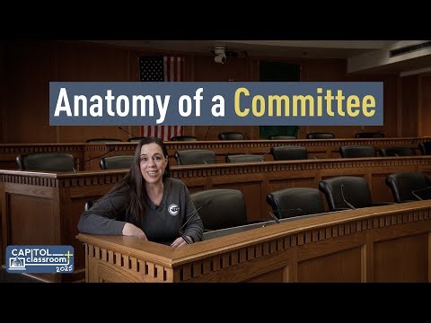 Anatomy of a Committee - Legislative Branch Explained