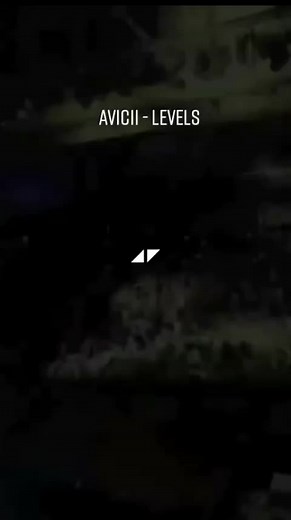 Avicii Levels - Electronic Music by Tim Berg