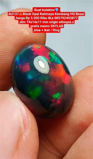 Buat kolektor💎AU137🍁Black Opal Kalimaya Kembang HQ Besar,harga Rp 5.500 Ribu W,a 085792493877