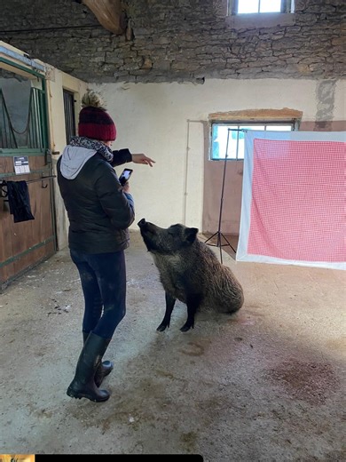 Modèle de rêve ma Riri 😍 Une Diva 🥰 #starenscene #sauvezrillette | Elevage De Saint-Clair Elodie
