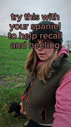 Effective Dog Recall Training Games