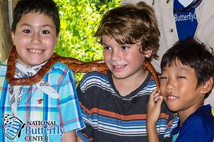 21 reactions | The National Butterfly Center is pleased to offer...