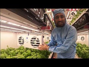 BioCube Container -Aeroponics System 4.0 in Action