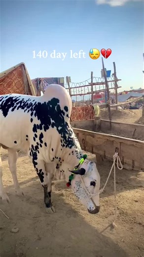 Countdown: Just 140 Days Left to Prepare