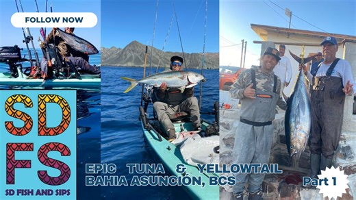 Epic tuna and yellowtail fishing adventure in Bahia Asunción, BCS – Part 1