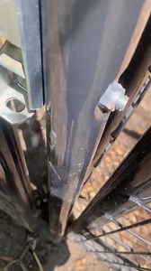 ✨Girl Drama✨ is a thing in the world of foxes too. So many sassy gals here 😆 | Arctic Fox Daily Wildlife Rescue, Inc.