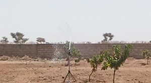 Canon d'irrigation longue portée disponible chez begreen-company.com Téléphone 77 503 77 40 Watsapp 00337 67 34 39 85 | BeGreen Sénégal