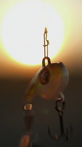 42 reactions | Introducing the Big Eye Spin ‍ Big eyes that act as unmissable strike points, vibration and flash that predators find irresistible, and boasting an environmentally friendly Zinc Alloy construction are just some of the features that make this lure one to make space for in your lure box. See all the details and options on our website. | Fox Rage | Facebook