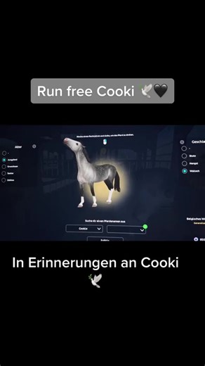 Exploring the Magic of Star Stable Online