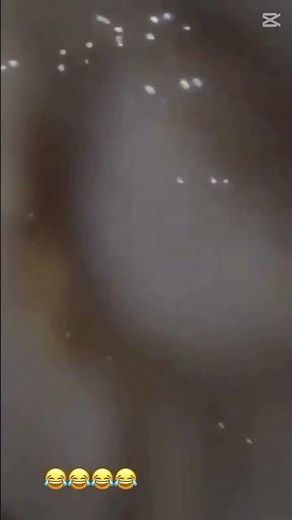 Esse aqui surtou no baile na hora do 1 minuto de silêncio. 😂
