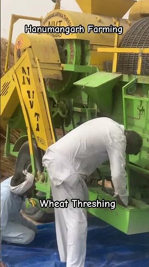 Wheat Threshing