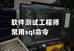 软件测试工程师常用sql命令，很难找全的，快马住