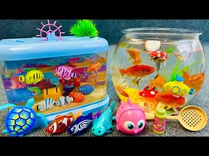 Satisfactory Unboxing Happy Aquarium Fishing Set ASMR | Toy Evaluation
