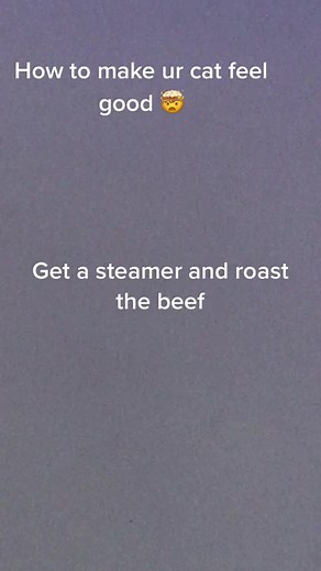 How to Make Your Cat Feel Good with Simple Tips