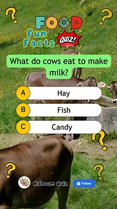 Test your foodie knowledge and see if you can guess the right answers! #food #foodie #foodquiz #foodfunfacts #quiz #quiztime #quizchallenge #quizreels #popquiz #trivia | Kaboom Quiz