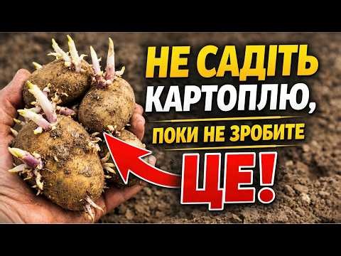 НЕ САДІТЬ КАРТОПЛЮ, поки не зробите ЦЕ! Секретний метод для подвійного врожаю!