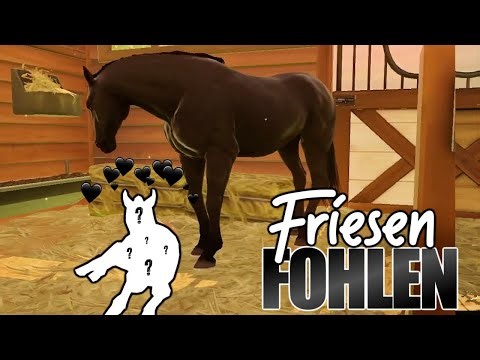 We breed the 🅴🆁🆂🆃🅴 Friesian foal 🐴🖤 Rival Stars Horse Racing