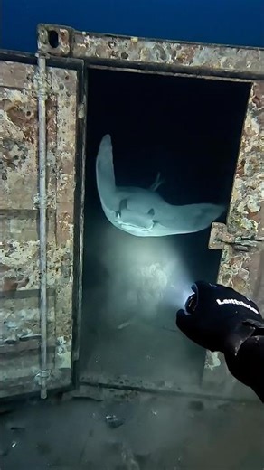 POV: I Found a Locked Container Underwater... What is Inside?! 🚢🕵️‍♂️😱