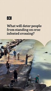 WARNING: This footage shows adults and children in dangerously close proximity to saltwater crocodiles and may be disturbing to some viewers. "Shocking to say the least, but unfortunately not that uncommon" A tour guide in the Northern Territory is pleading for locals and tourists to be more mindful when visiting the popular croc-spotting destination, Cahills Crossing. Jack Tanner captured footage this week of adults and children hanging about the croc-infested crossing. He is becoming increasin