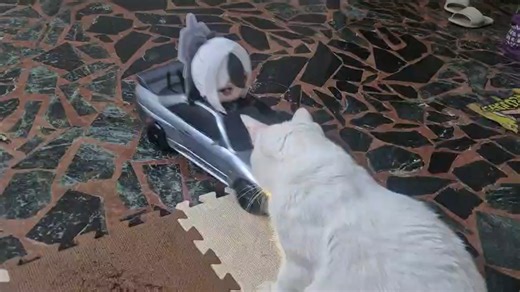 神力科沙駕駛MOD佳世子or佳代子orKayoko窩不知道你要叫哪個BUT低成本,因為顯然我不是高端人士,然後窩要想辦法湊80個字因為我是超級弱智現在還差七個字