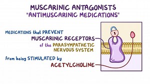 Video: Muscarinic antagonists - Video Explanation! | Osmosis | Osmosis