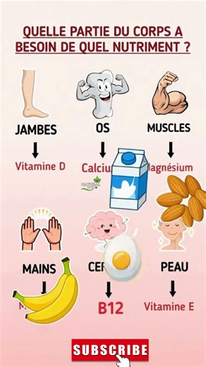 Chaque Partie du Corps a Besoin d’un Nutriment ⚠️