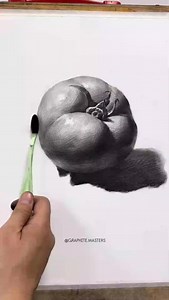 14K views · 743 reactions | Graphite tomato drawing tutorial by...