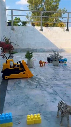 Baby Chick Meets Cars & Trucks | Fun Vehicle Adventure | Tiny Tales