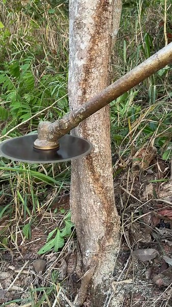 Roçadeira popular: como é a vida no campo com roçadeira