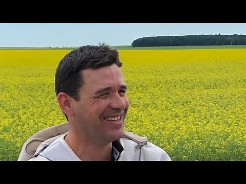 Beekeeping Chat with Ian Steppler ( a Canadian Beekeeper's Blog)