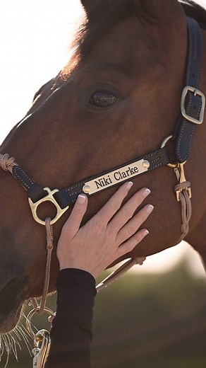 Just keep the pets coming human… 😁 👗Hybrid Halter in latest color - black with copper rope and a brass nameplate of course to finish it all off! #dressage #equestrianstyle #liberty #eventing #barrelracing #cowgirlstyle #horsemanship | The Horse Education Company