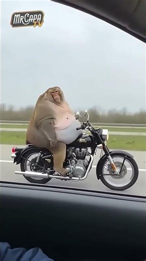 A smug monkey shows off on a motorcycle… then instantly regrets it 😂🐒🏍️ #animals #funny #meme #viral