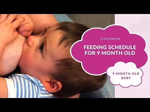 9 Month Old Baby: Feeding Schedule for 9 Month Old