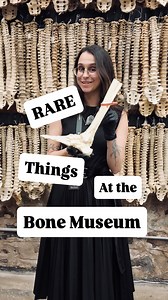 398K views · 70K reactions | Step into a realm where history and...