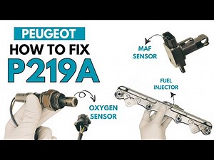 How To Fix P219A Engine Code in Peugeot : P219A Air-fuel ratio Guide