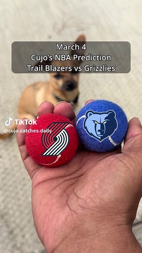 Portland Trail Blazers vs Memphis Grizzlies Highlights