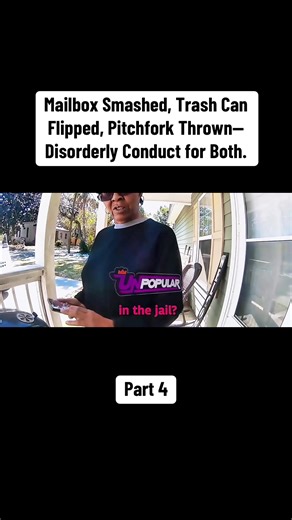 Mailbox Smashed, Trash Can Flipped, Pitchfork Thrown—Disorderly Conduct for Both. #cops #copsoftiktok #law #bodycam #crime