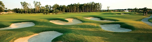 Pelican Preserve Golf Club