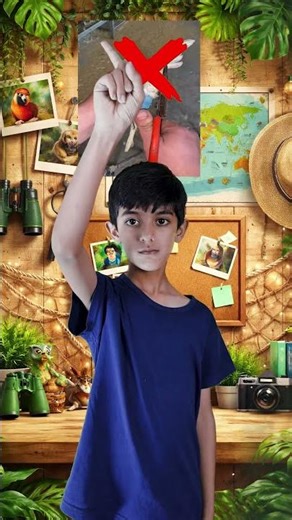 Do you think Parrots should fly?