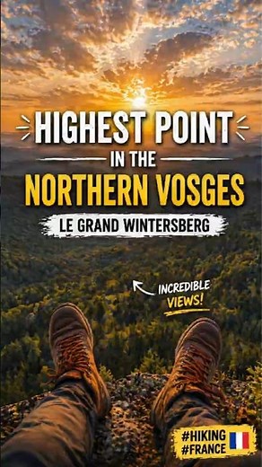 Highest Point in the Northern Vosges 🇫🇷 | Le Grand Wintersberg #Shorts