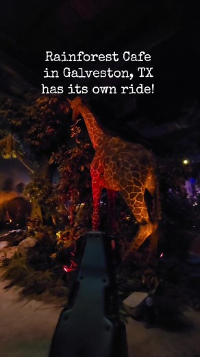 The Rainforest Cafe in Galveston, Texas has its own dark ride called River Adventure! This is a must do when you are in Galveston! Check out my full video of the ride at Courtney in Wanderlust on YouTube. Link is on my page! #rainforestcafe #riveradventureride #travel #travelvlog #galvestontexas #texastravel #travelvlogger #courtneyinwanderlust #darkride #roadsideattraction #animatronics #waterride