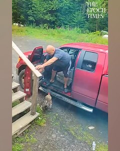 Crazy rooster refused to let the man leave his car... 🤣 Credit: Jukin Media | Bright