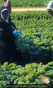 Farm life in America | The Crooked Crow