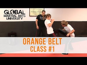 Beginner Krav Maga - Orange Belt/Level 2 - Class #1 (Knees, Sprawling, Fatigue Drill)