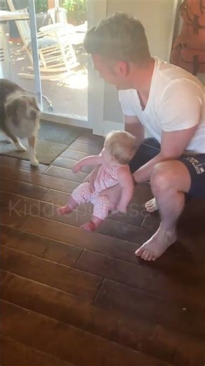 The baby belly laughs 😂🐶 kiddie pop usa 🎊 #kiddiepopusa
